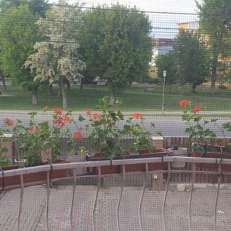 Готель Casa Maia Турда Екстер'єр фото