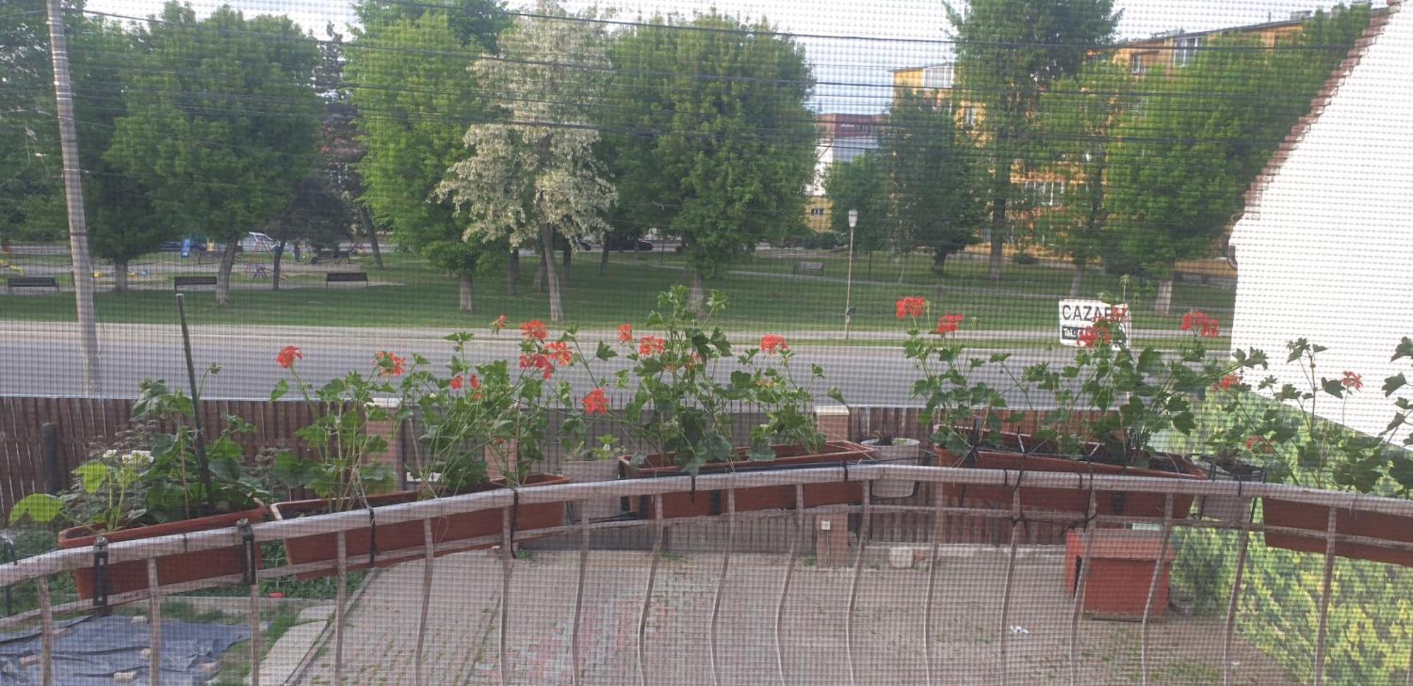 Готель Casa Maia Турда Екстер'єр фото